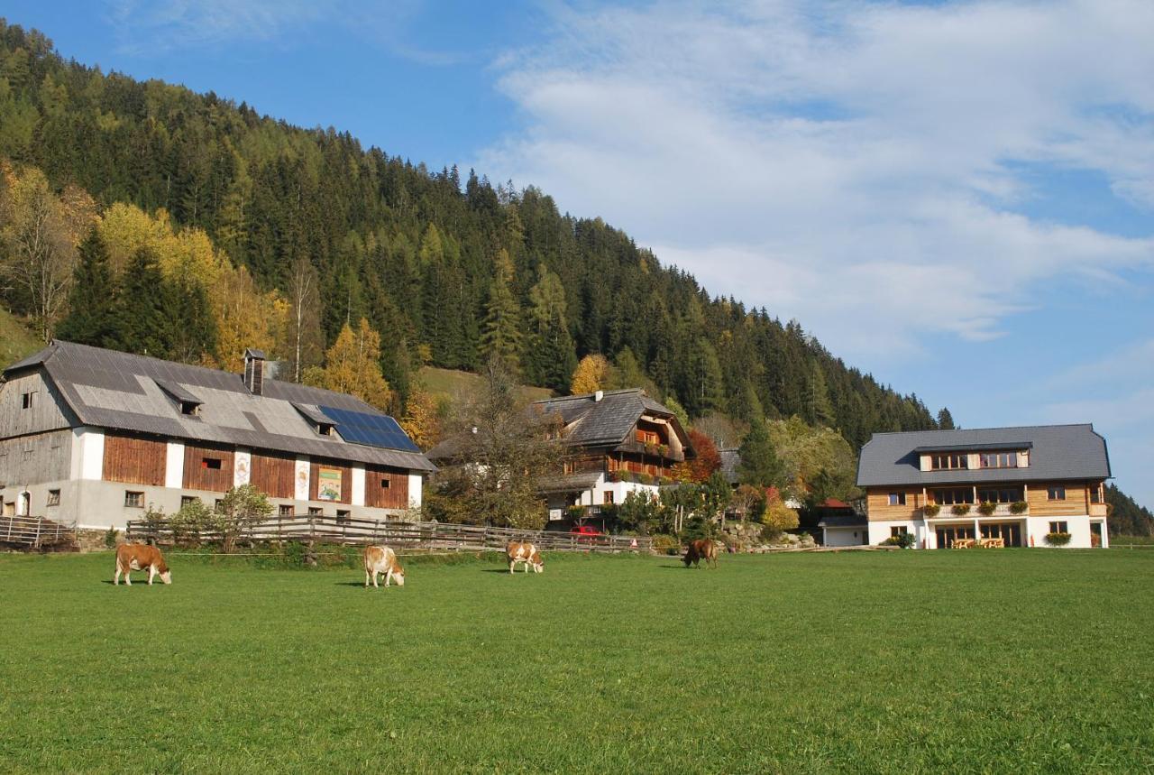 Biohof Seidl Apartment Bad Kleinkirchheim Exterior photo